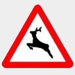 Siniestralidad vial con implicaci�n de animales